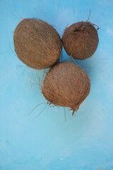 Coconuts set  on a light blue background.Fresh coconut group.materials for food and cosmetics.Keto diet ingredient.Coconut milk and coconut oil raw materials.copy space.	