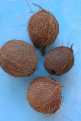 Coconuts set close-up on a  blue background.Fresh coconut group.Raw materials for food and cosmetics.Keto diet ingredient.Coconut milk and coconut oil raw materials.	