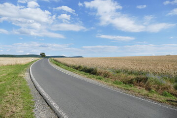 Fototapeta na wymiar Landstrasse mit reifen Getreidefeldern, Himmel und Wolken