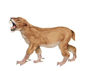 Obraz premium lion, animal, lionne, faune, isolé, sauvage, créature, lion, fauve, animale imaginaire, gris, mauve, monstre, canine, sauvage, création, dangereux, avec corne, bouche ouvert, blanc, beige, bleu , gr