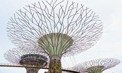  The "OCBC Skyway" trail passes at a height between two super-trees. On the trail are tourists