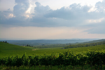 Obraz premium Landschaft der Toskana, Italien