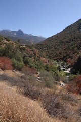 mountain road in the mountains