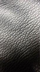 leather texture background
