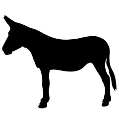 Icon of donkey silhouette. Black illustration of farm animal