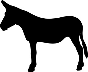 Icon of donkey silhouette. Black vector illustration of farm animal