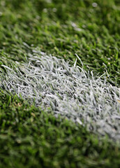 Shallow depth of field (selective focus) image with details of a painted line on a soccer field.