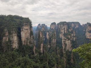 Fototapeta na wymiar The sandstone pillars. Mountains in the national park Wulingyuan. Zhangjiajie. UNESCO World Heritage Site. China. Asia