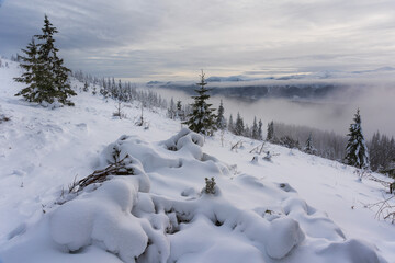 Winter in the Ukrainian Carpathians with beautiful frozen trees and snow