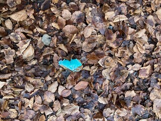 used standard medical mask on the ground with leaves in autumn forest