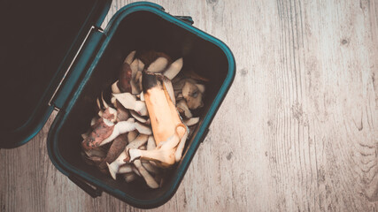 domestic ecological sorting of biowaste in a black box