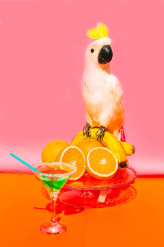 Naklejki Parrot sitting on fruit against pink background