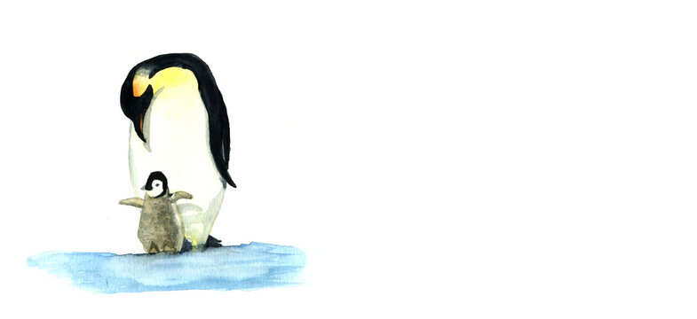 Piccolo pinguino con la mamma, illustrazione ad acquerello isolata su sfondo bianco