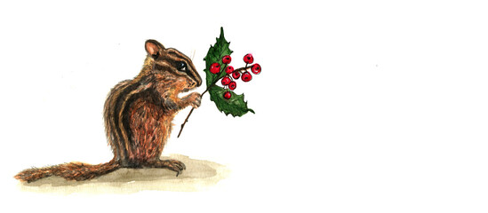 Piccolo scoiattolo con ramoscello di bacche rosse, illustrazione ad acquerello isolata su sfondo bianco