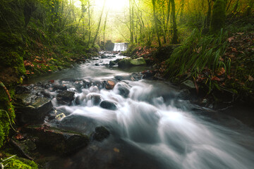 Obraz premium River through the forest at the Aiako Harriak Natural Park; Basque Country.