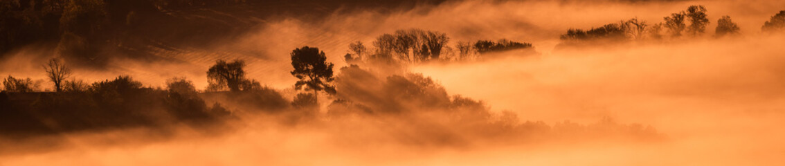 Fototapeta premium Foggy sunrise landscape in the mountains with trees. Beautiful panorama with magical atmosphere and warm colors. Orange mist at sunrise or sunset on a hill.