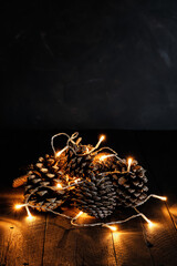 Pine cones with Christmas lights