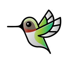 bird of paradise calibri