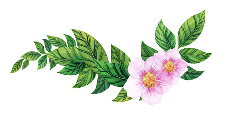 Watercolor floral ornament for postcards and invitations. Twig of rosehip with beautiful gentle pink blossoms and thick green leaves. Hand drawn corner frame template on white background