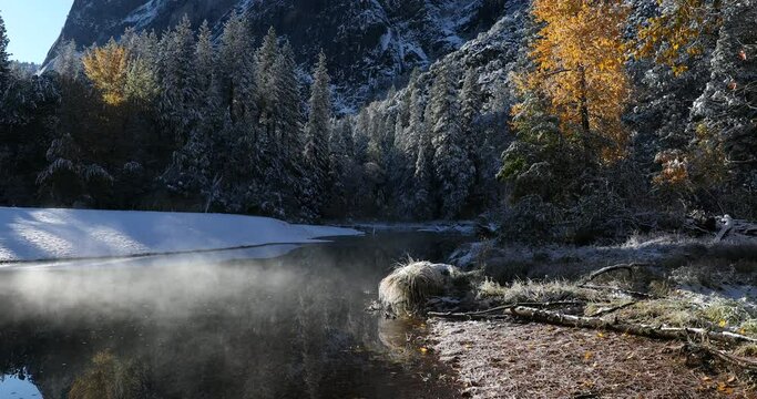After a snowstorm, fall colors peek through the snow in Yosemite National Park, California.