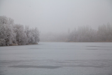 Fototapeta na wymiar Tall trees grow on banks of frozen pond