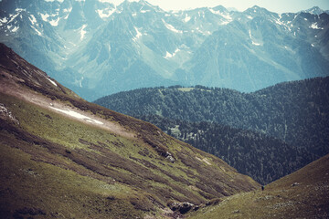 Fototapeta premium Beautiful mountain landscape with forest at Caucasus mountains.