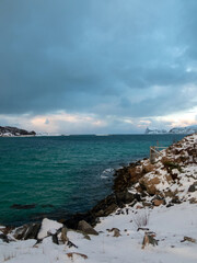 Strand bei Sommaroya, Kvaloya, Norwegen