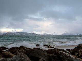 Strand bei Sommaroya, Kvaloya, Norwegen