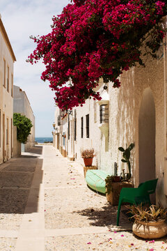 Beautiful street in Tabarca island