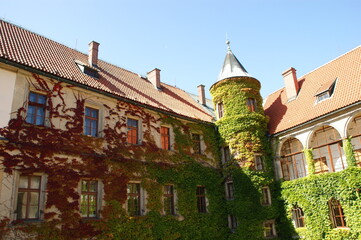 A beautiful castle with green and red plants on the walls
