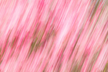 Artsy motion blurred pink flowers.