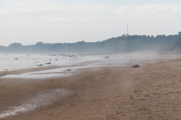 Fog comes from the sea. Sandy beach, Estonia.