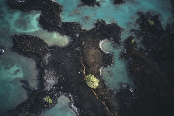 Aerial view of abstract lava coastline