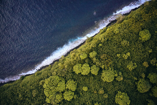 Aerial view of tropical coastline in Hawaii