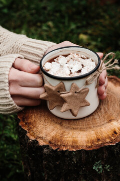 Festive Hot Chocolate