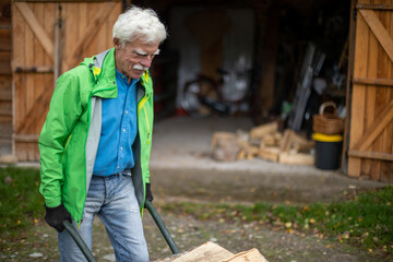 Fototapeta premium Senior man pushing a wheelbarrow full of the heavy pieces of firewood.