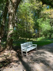 bench in the park