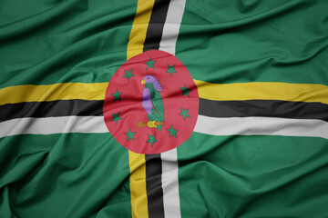 waving colorful national flag of dominica.