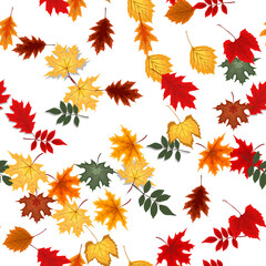 Abstract Vector Illustration Autumn Seamless Pattern Background with Falling Autumn Leaves