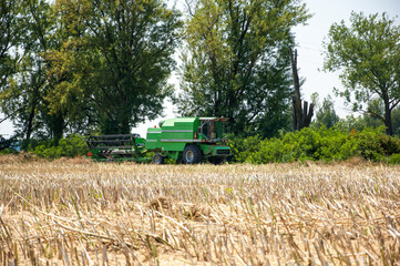 Fototapeta premium Green harvesting combine in the background with harvested field in front of it