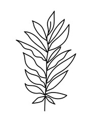 Fototapeta na wymiar leaf with stem on a white background