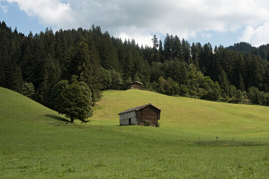 Landscape with house, Alps, Austria