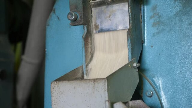 Sifted rice flowing fast through a metallic gutter at a modern agricultural plant