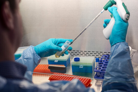 Mixed race scientist pipetting solution into test tubes in lab