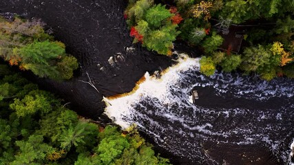 Aerial look down flying above the lower Tahquamenon Falls lowering down over the waterfall cascade in upper Michigan with colorful fall foliage and evergreen trees lining the river banks.