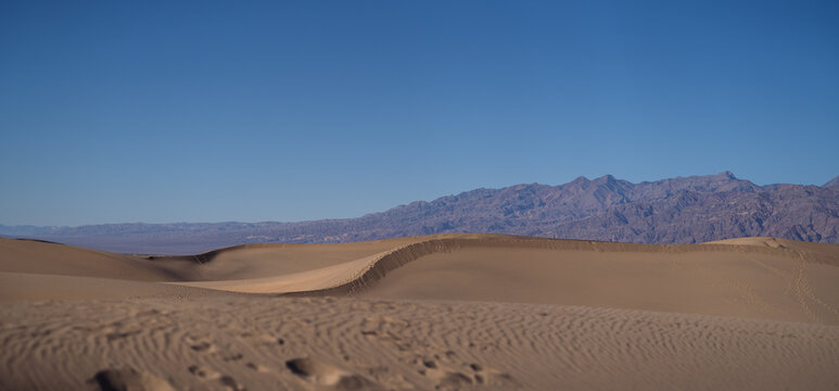 sand dunes in the desert