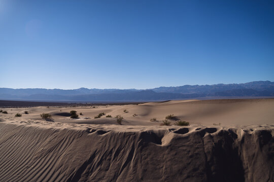 sand dunes in the desert