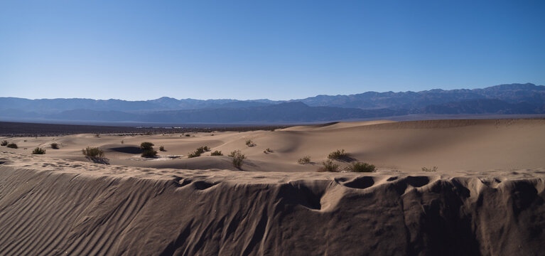 sand dunes in the desert