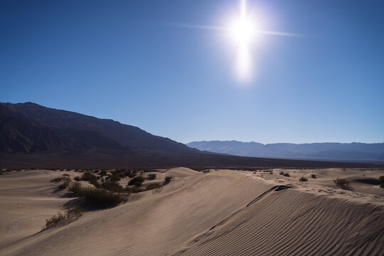 sand dunes in the desert