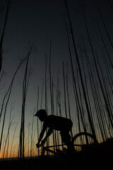 forest, nature, tree, woman, walking, autumn, woods, walk, park, hiking, path, outdoors, people, trees, hike, young, trail, road, summer, green, landscape, fall, wood, bike, person, mtb, mountainbike,